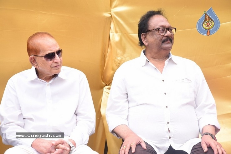 Vijaya Nirmala Statue Inauguration Photos - 90 / 104 photos