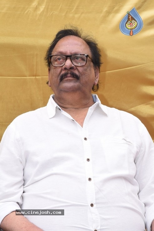 Vijaya Nirmala Statue Inauguration Photos - 93 / 104 photos