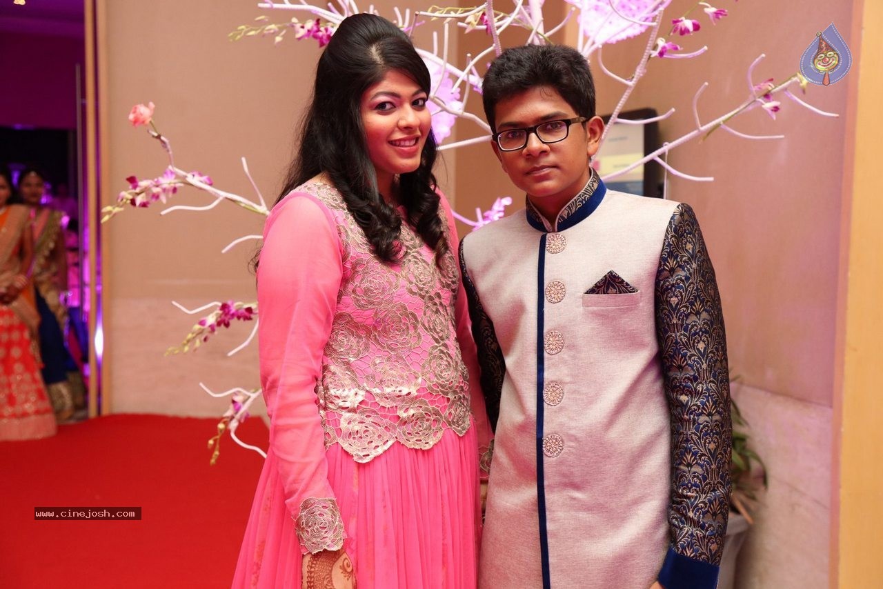 Yogesh and Krishika Sangeet Ceremony - 108 / 128 photos