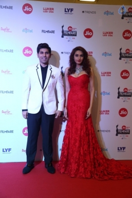 64th Jio Filmfare Awards South 2017 - 24 of 61