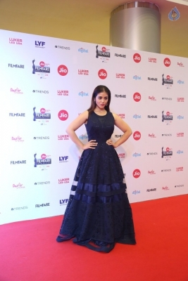 64th Jio Filmfare Awards South 2017 - 48 of 61