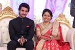 Aadi and Aruna Wedding Reception 01 - 30 of 119