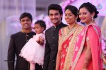 Aadi and Aruna Wedding Reception 01 - 115 of 119
