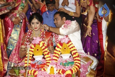 Abinesh Elangovan and Nandhini Wedding Reception - 21 of 42