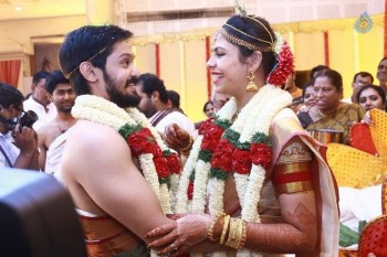 Actor Nakul Wedding Reception Photos - 5 of 61
