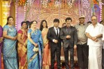 Actor Pandiarajan Son Wedding Reception - 65 of 102