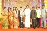Actor Pandiarajan Son Wedding Reception - 68 of 102