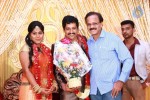 Actor Viddarth and Gayathri Devi Wedding Reception - 14 of 54
