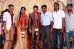 Actor Viddarth and Gayathri Devi Wedding Reception - 26 of 54