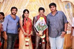 Actor Viddarth and Gayathri Devi Wedding Reception - 33 of 54