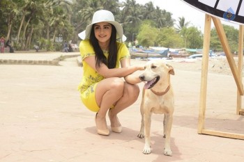 Adah Sharma at PETA Event - 15 of 18