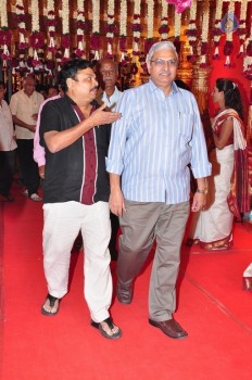 Adiseshagiri Rao Son Wedding Photos 1 - 24 of 88