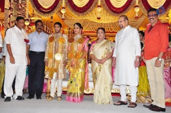 Adiseshagiri Rao Son Wedding Photos 1 - 59 of 88