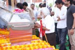 Akkineni Nageswara Rao Condolences Photos - 79 of 450