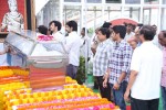Akkineni Nageswara Rao Condolences Photos - 102 of 450