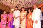 Allari Naresh Wedding Photos 03 - 115 of 227
