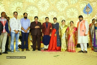 Ambica Krishna Grandson Wedding Reception Photos - 12 of 30
