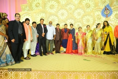 Ambica Krishna Grandson Wedding Reception Photos - 25 of 30