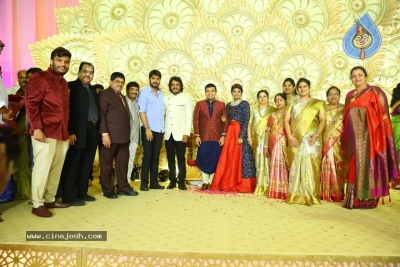 Ambica Krishna Grandson Wedding Reception Photos - 28 of 30
