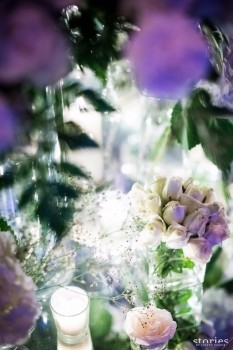 Asin and Rahul Sharma Wedding Reception - 14 of 42