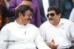 Balakrishna Launches Raju Gari Ruchulu - 114 of 304