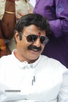 Balakrishna Launches Raju Gari Ruchulu - 180 of 304