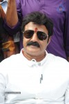 Balakrishna Launches Raju Gari Ruchulu - 196 of 304