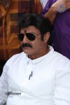 Balakrishna Launches Raju Gari Ruchulu - 203 of 304