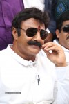 Balakrishna Launches Raju Gari Ruchulu - 236 of 304