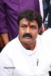 Balakrishna Launches Raju Gari Ruchulu - 263 of 304