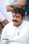 Balakrishna Launches Raju Gari Ruchulu - 278 of 304