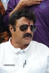 Balakrishna Launches Raju Gari Ruchulu - 282 of 304