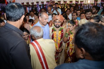 Bandaru Dattatreya Daughter Marriage Photos - 10 of 128