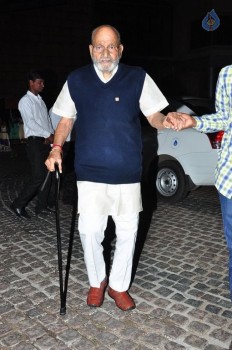 Britannia Filmfare Awards 2016 Photos 2 - 38 of 82