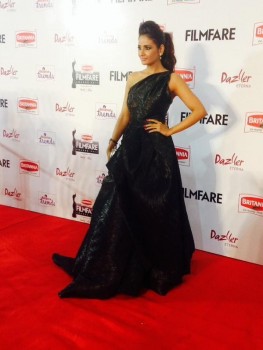 Britannia Filmfare Awards South Photos - 15 of 38
