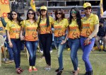 CCL 5 Chennai Rhinos Vs Veer Marathi Match Photos - 6 of 90