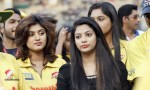 CCL 5 Chennai Rhinos Vs Veer Marathi Match Photos - 21 of 90