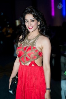 Celebrities at 20th TANA Mahasabhalu - 74 of 126