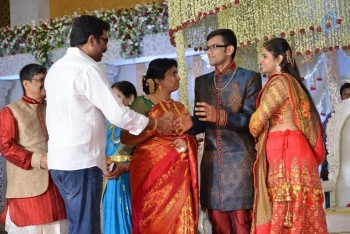 Celebrities at Delhi Rajeswari Son Wedding Reception - 38 of 94