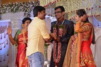 Celebrities at Delhi Rajeswari Son Wedding Reception - 45 of 94
