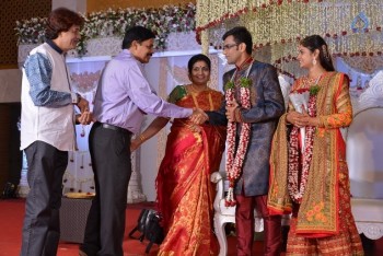 Celebrities at Delhi Rajeswari Son Wedding Reception - 58 of 94