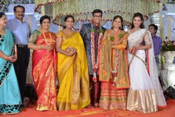Celebrities at Delhi Rajeswari Son Wedding Reception - 65 of 94