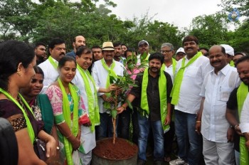Celebrities at Haritha Haram Event - 39 of 42