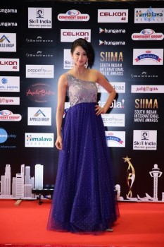 Celebrities at SIIMA 2016 Awards Day 1 - 24 of 48