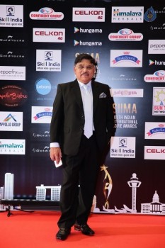 Celebrities at SIIMA 2016 Awards Day 1 - 36 of 48