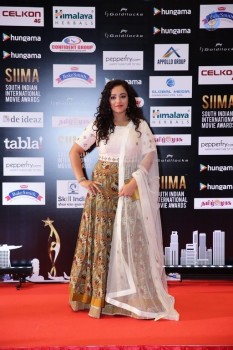 Celebrities at SIIMA 2016 Awards Day 1 - 46 of 48