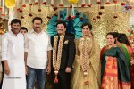 Celebs at Rajendra Prasad Son Wedding Reception 03 - 39 of 60