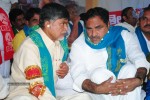 Chandrababu Indefinite Fast Photos - 8 of 83