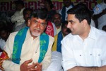 Chandrababu Indefinite Fast Photos - 47 of 83