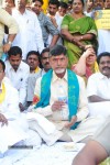 Chandrababu Indefinite Fast Photos - 62 of 83